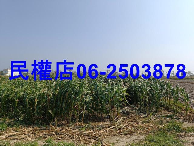 台南學甲農地-5