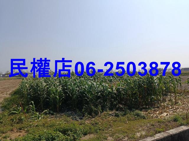 台南學甲農地-7