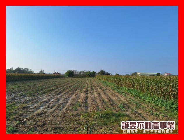 台南學甲農地-0