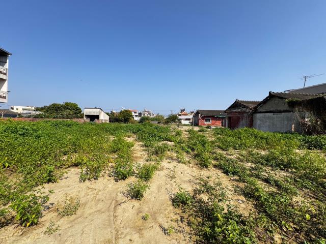 民雄農地-5
