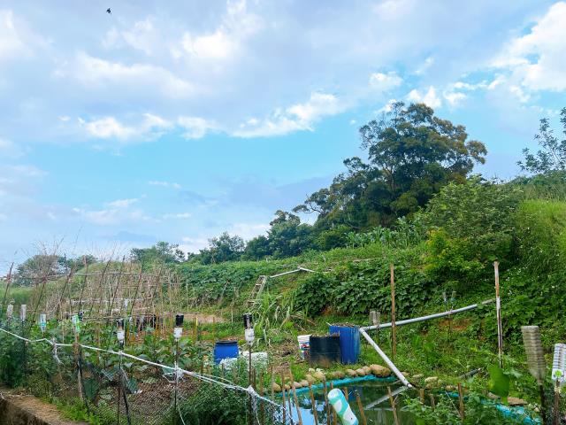 楊梅農地-3