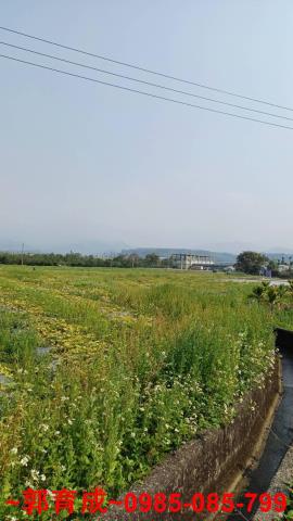 嘉義中埔農地-4