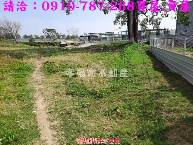 歸仁農地-5