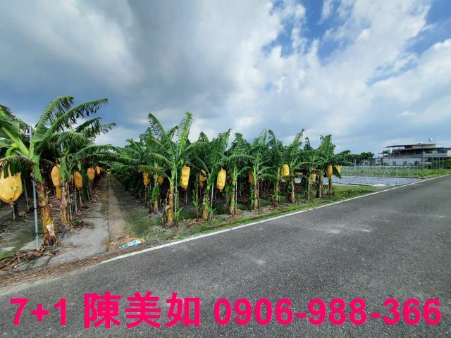 高雄農地-0