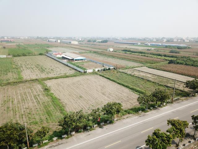 大園農地-1