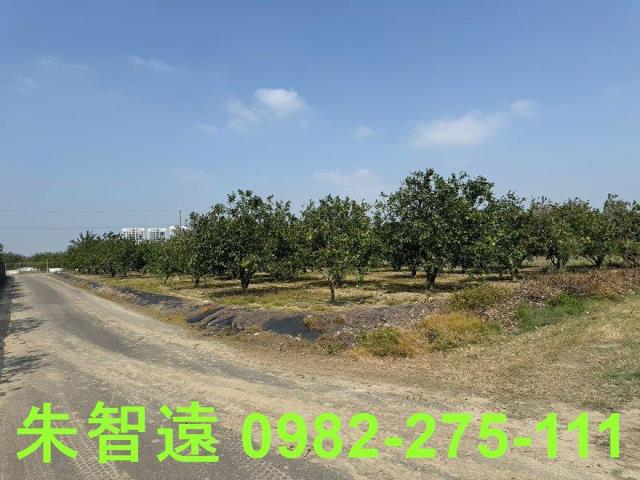 麻豆農地-0