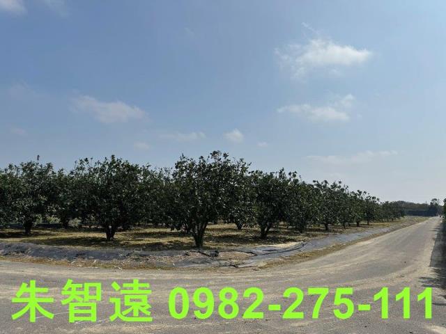 麻豆農地-8