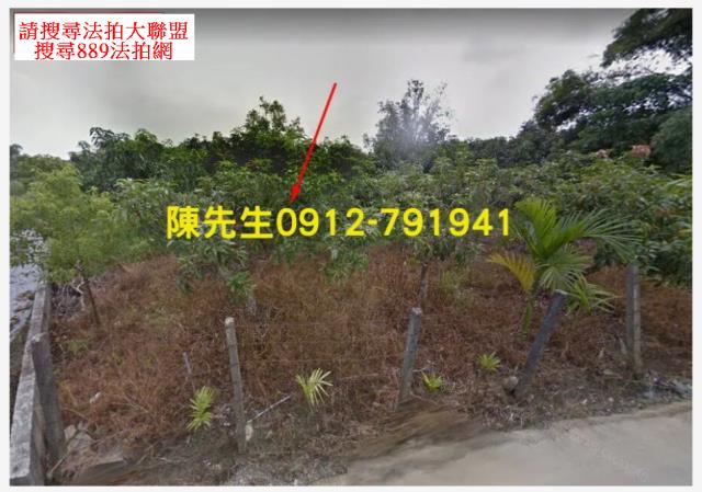 大內法拍大內農地大內土地