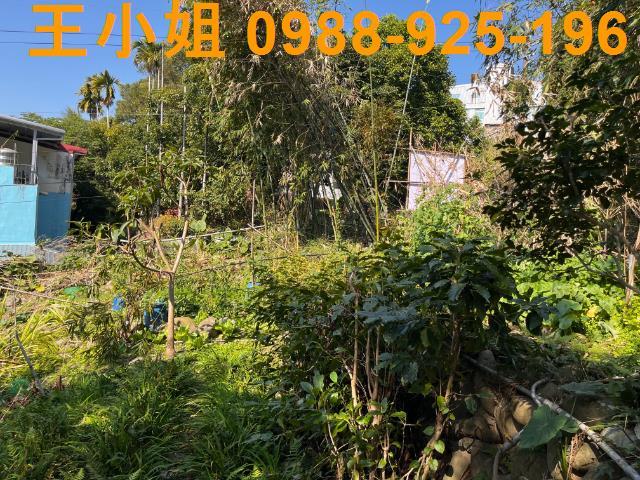 桃園大溪農地-1