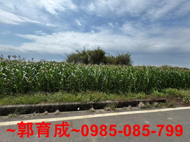 東山農地-2