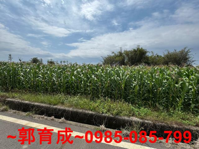 東山農地-4
