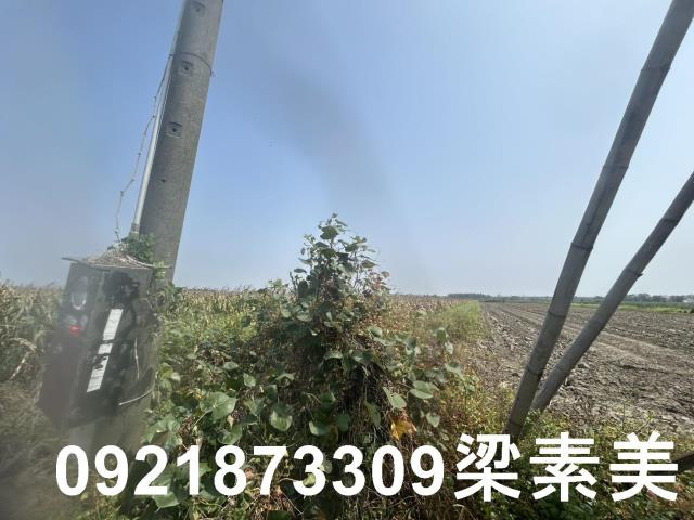 善化農地-7