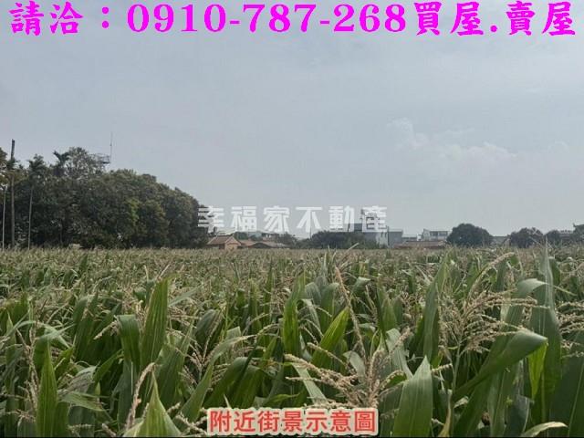 新營農地-12