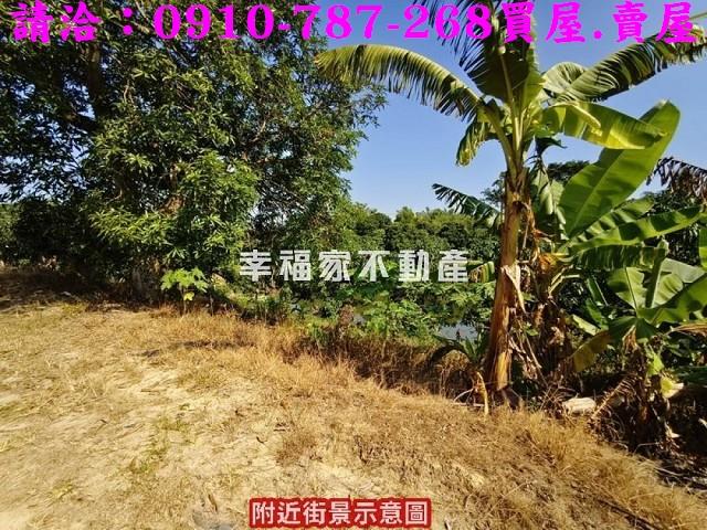 新化農地-9