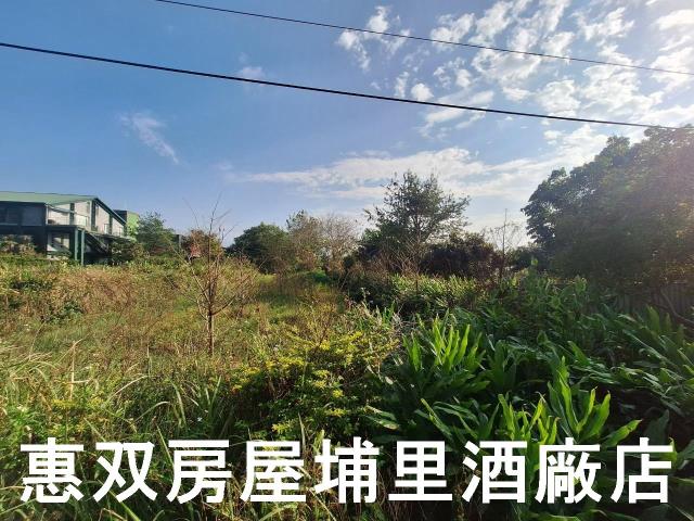 南投休閒地-3