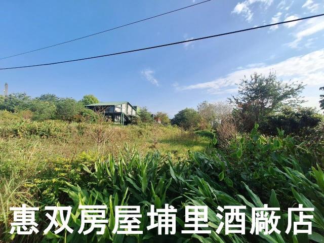 南投休閒地-4