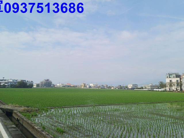 宜蘭壯圍農地-4