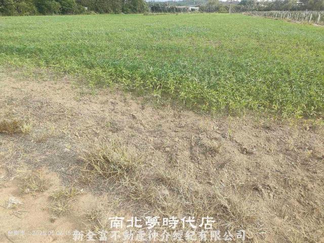 玉井農地-7