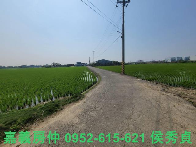 西區農地-11