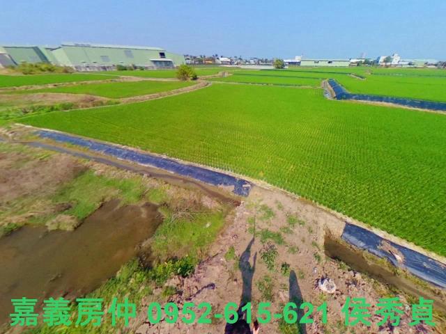 西區農地-6