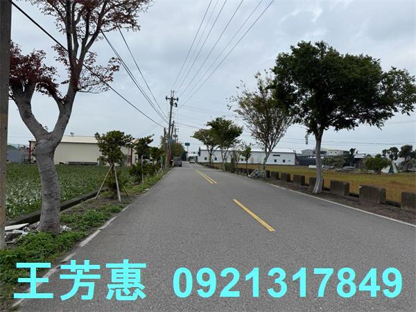 后里農地-11