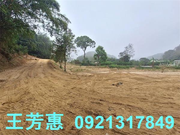 苗栗苑裡農地-1