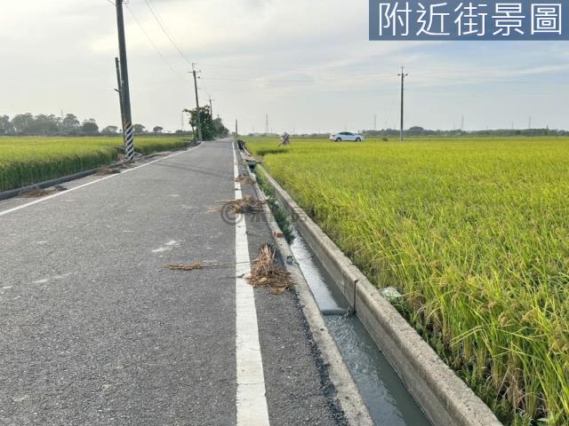 台南六甲農地-5