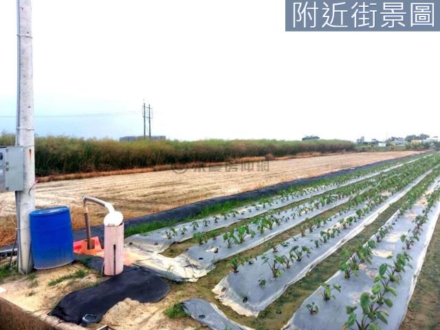 新市農地-0