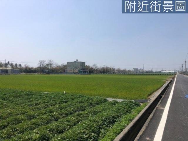 新市農地-10