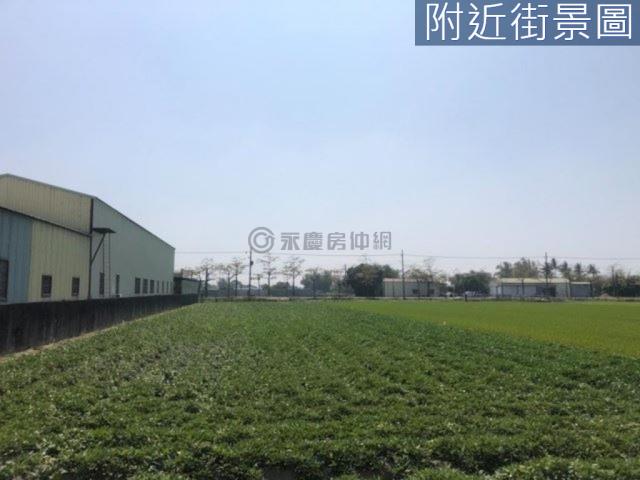 新市農地-0