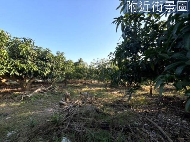 楠西農地-7