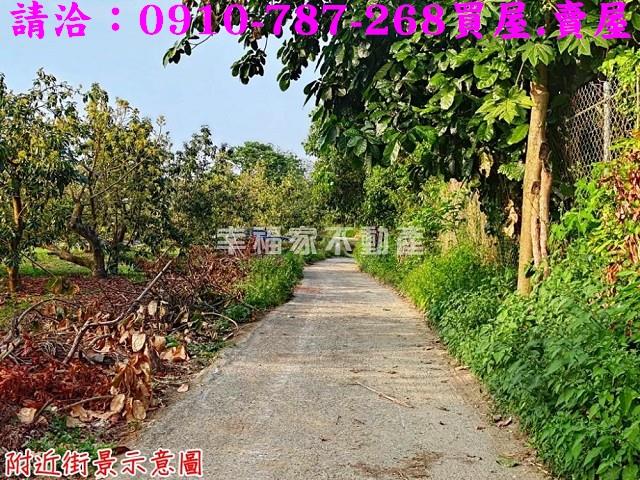 台南農地-9