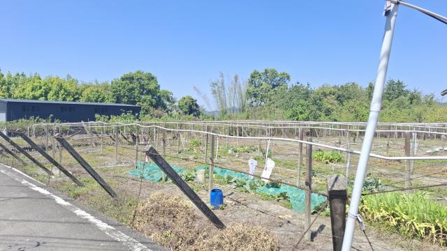 台中石岡農地-6