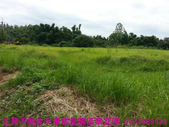 新化農地-1