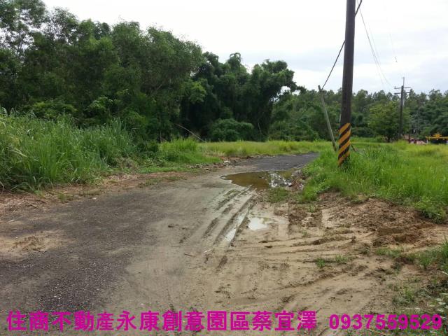 新化農地-2