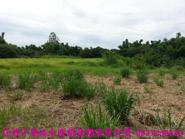 新化農地-3