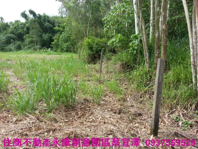 新化農地-7
