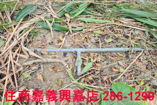 竹崎林地-12