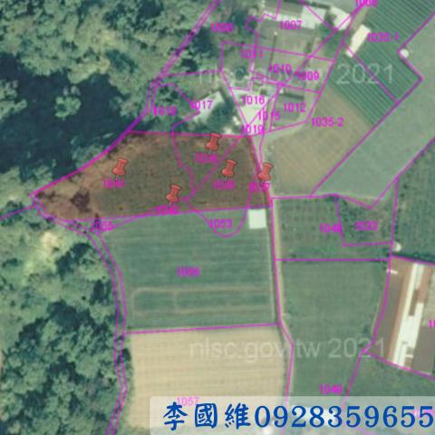 新社農地拍賣-2