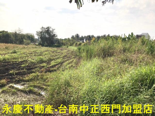 台南白河農地-1