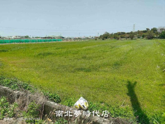 台南新化農地-7
