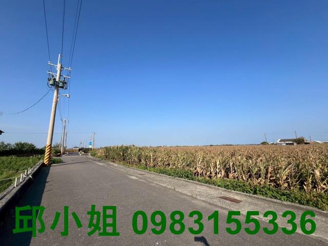 義竹農地-1