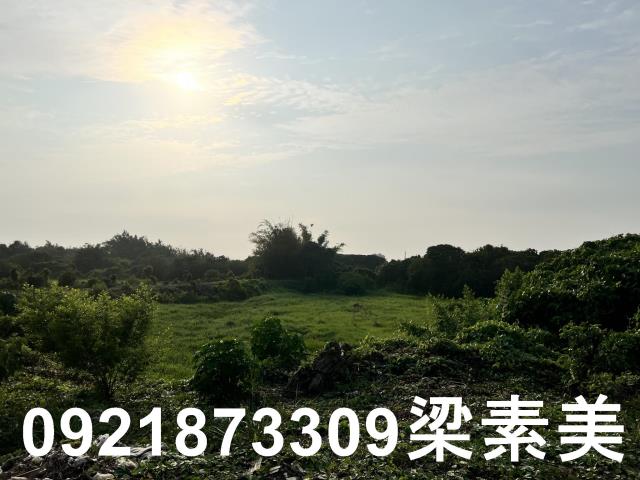 柳營農地-8