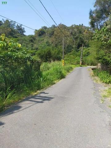 仁武農地-3