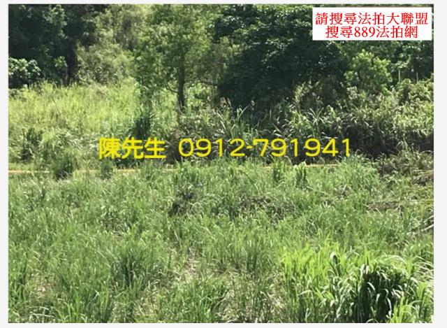 三灣法拍三灣農地三灣土地