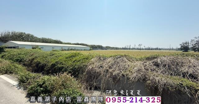 四湖農地-2