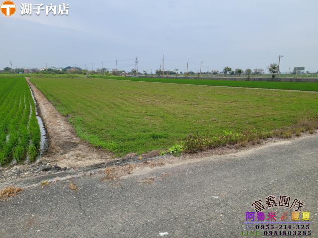 嘉義農地-2