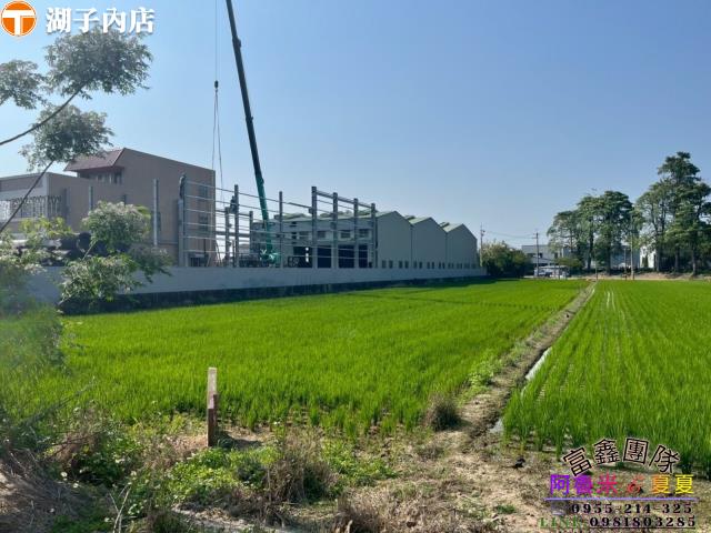 嘉義農地-1