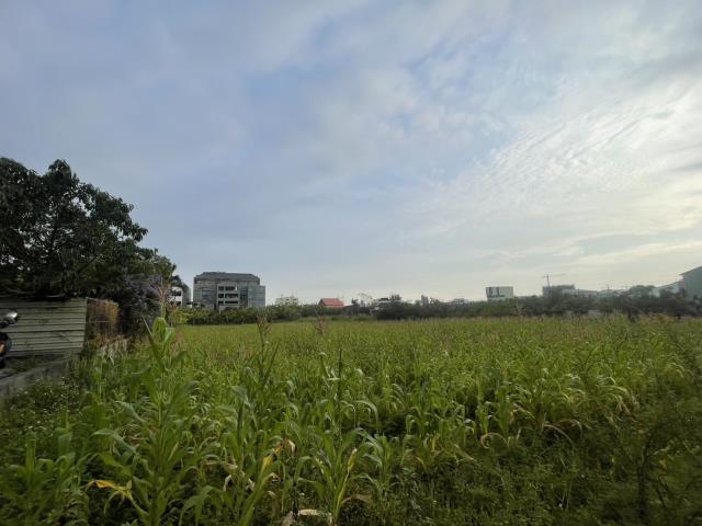 永康農地-10