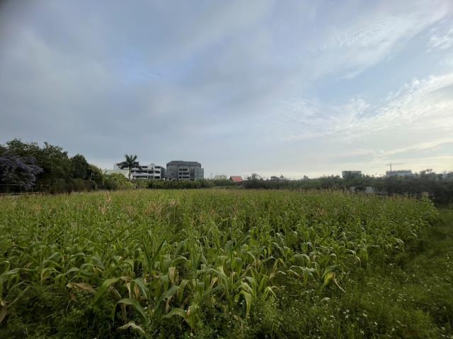 永康農地-1